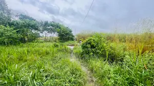 গোপালগঞ্জ এসেনসিয়াল ড্রাগের পিছনে ৪.৭৫ কাঠা আবাসিক জমি বিক্রি হবে