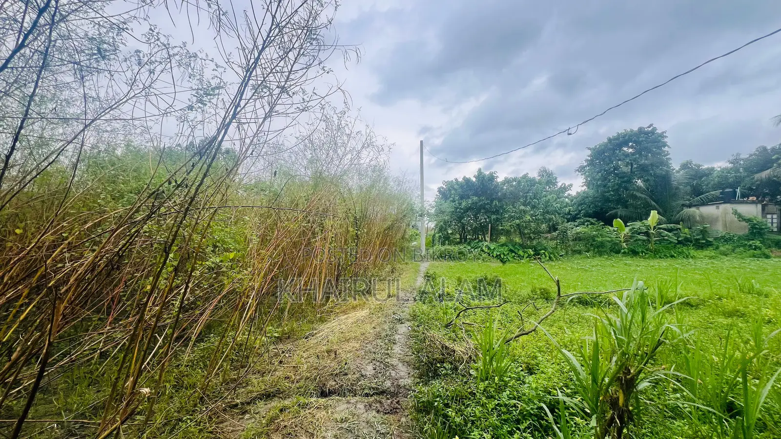 গোপালগঞ্জ এসেনসিয়াল ড্রাগের পিছনে ৪.৭৫ কাঠা আবাসিক জমি বিক্রি হবে