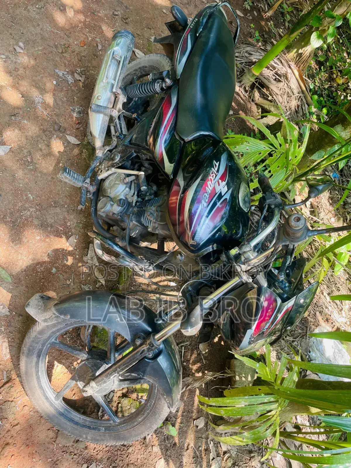 Bajaj Discover 100 2014 Black