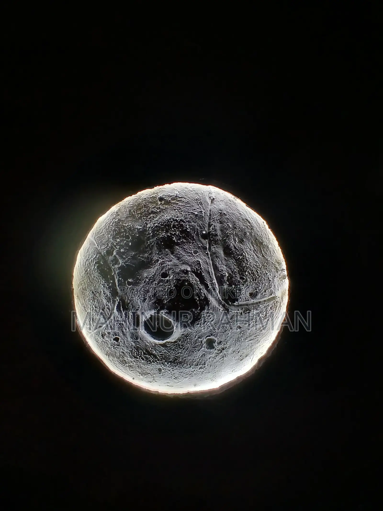 Moonlight for Sale