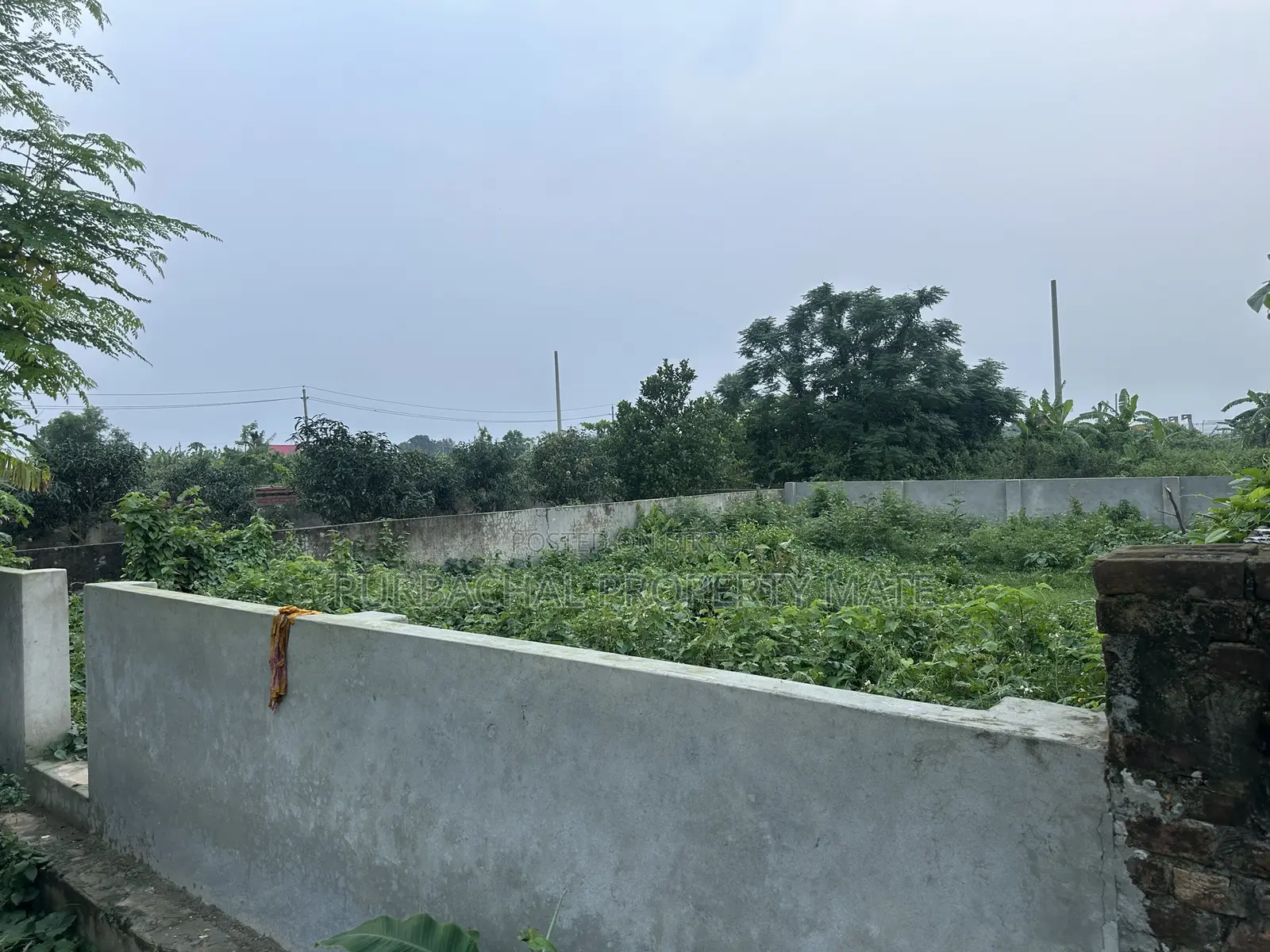 3 Katha South-Facing Boundary-Walled Plot for Sale in Purbachal Sector 25.
