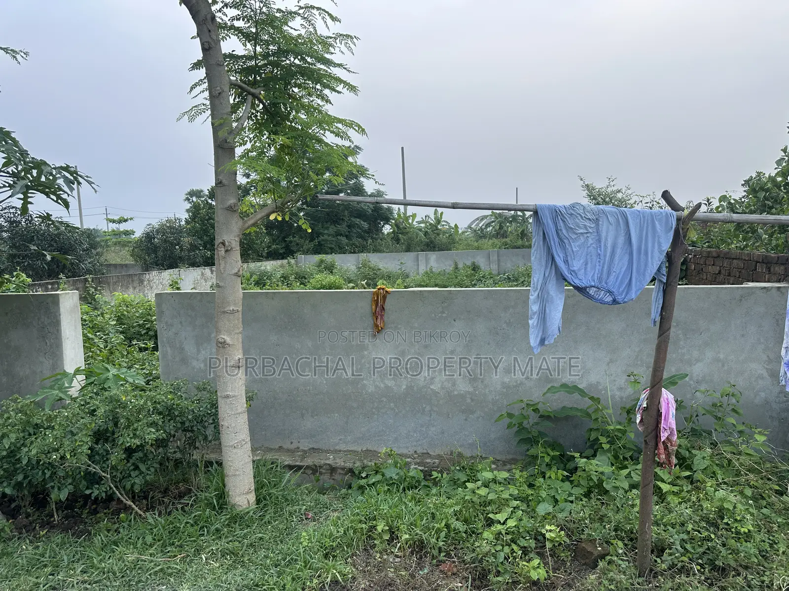 3 Katha South-Facing Boundary-Walled Plot for Sale in Purbachal Sector 25.