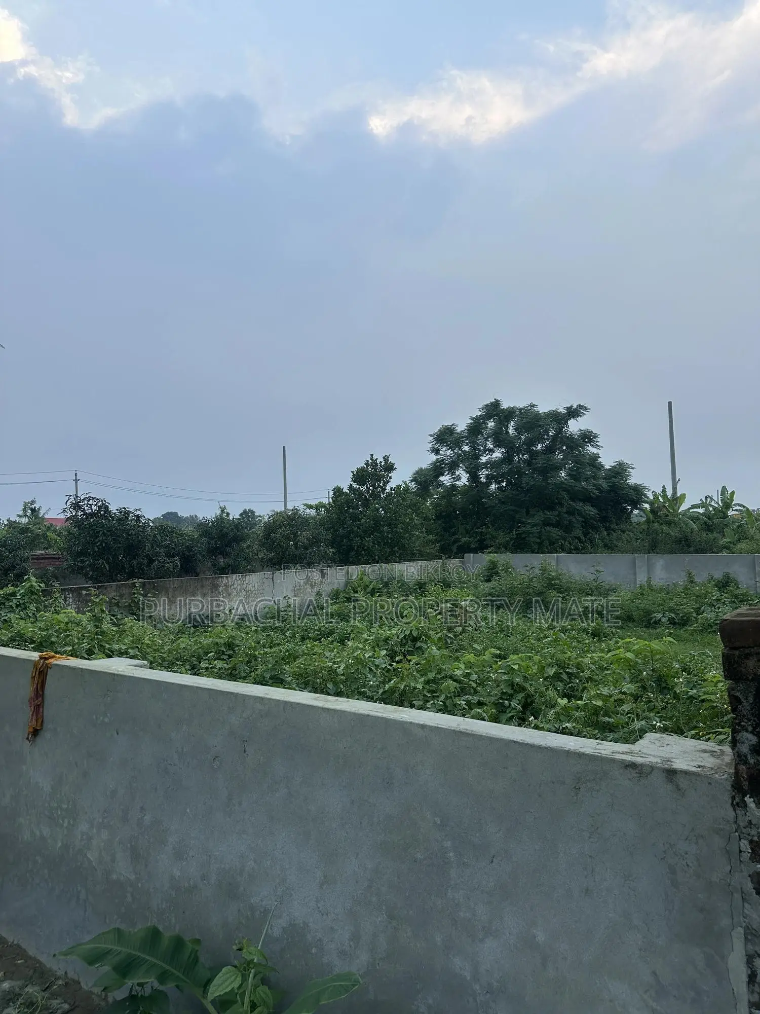 3 Katha South-Facing Boundary-Walled Plot for Sale in Purbachal Sector 25.