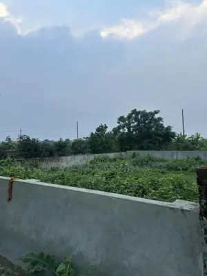 3 Katha South-Facing Boundary-Walled Plot for Sale in Purbachal Sector 25.