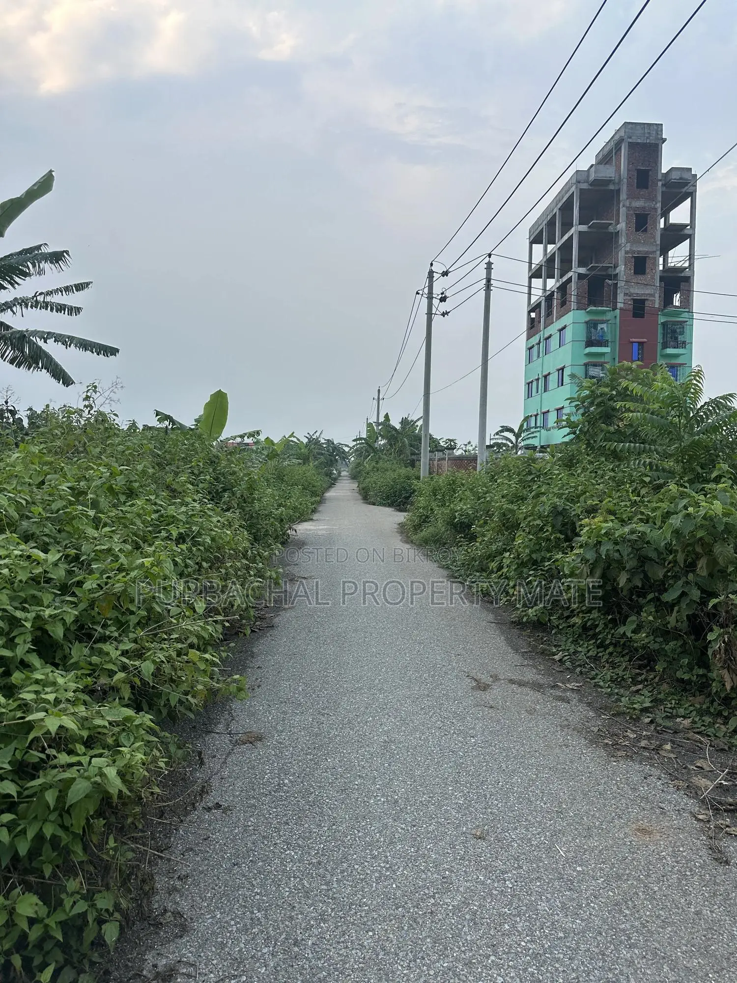 3 Katha South-Facing Boundary-Walled Plot for Sale in Purbachal Sector 25.