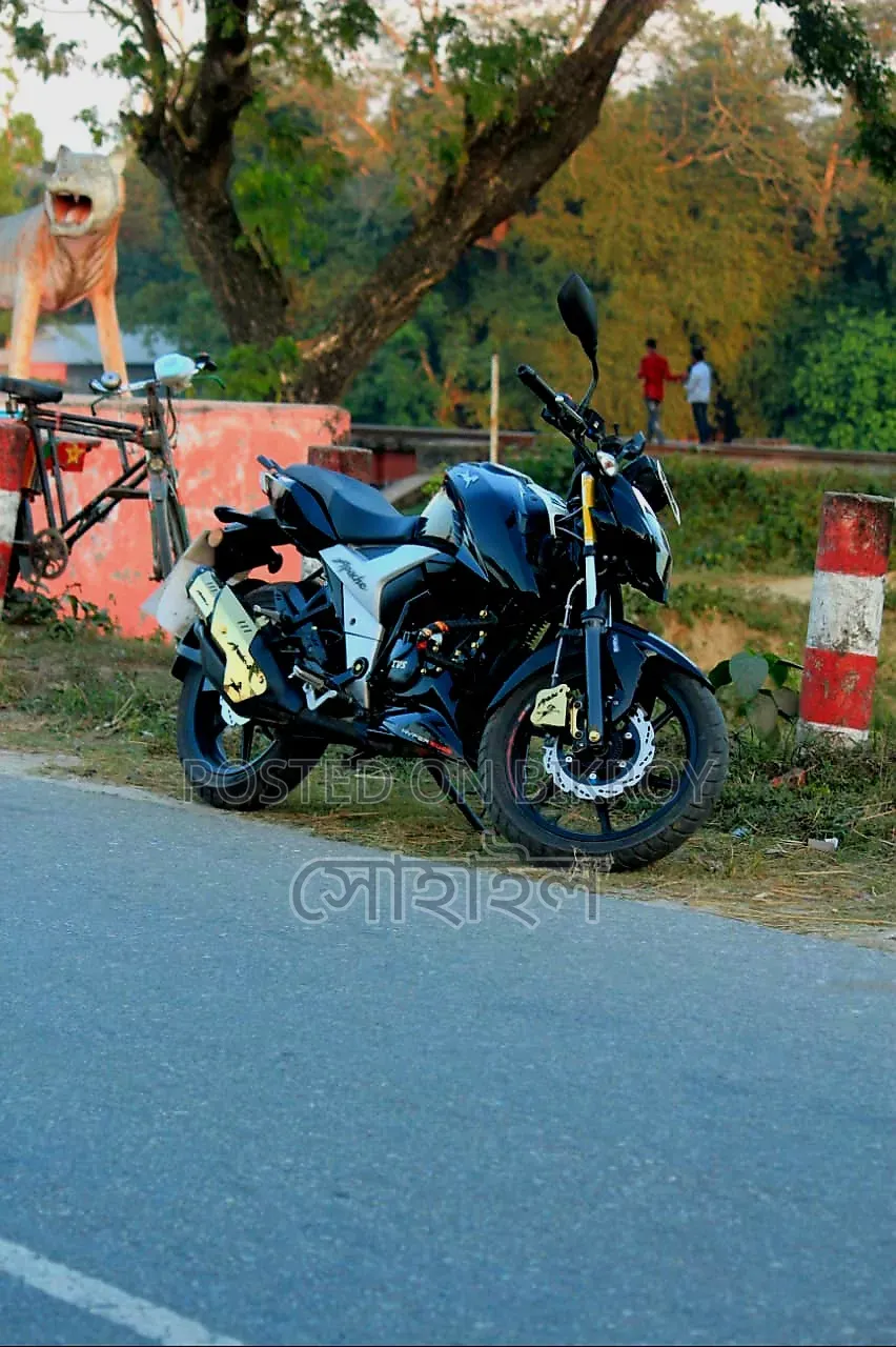 TVS Apache RTR 160 4V Fi 2024 Black
