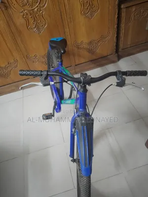 Duranta Muscular Premier Cycle (Used)