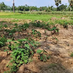 44 Decimals of Land for Sale