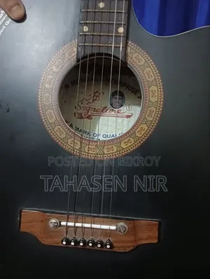 Signature Guitar