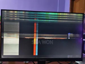 Gigabyte 24" Monitor Sale Post