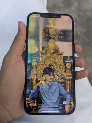 অ্যাপল আইফোন ১২ প্রো ম্যাক্স ১২৮ জিবি ব্লু