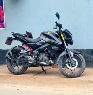Bajaj Pulsar NS 160 2018 Gray