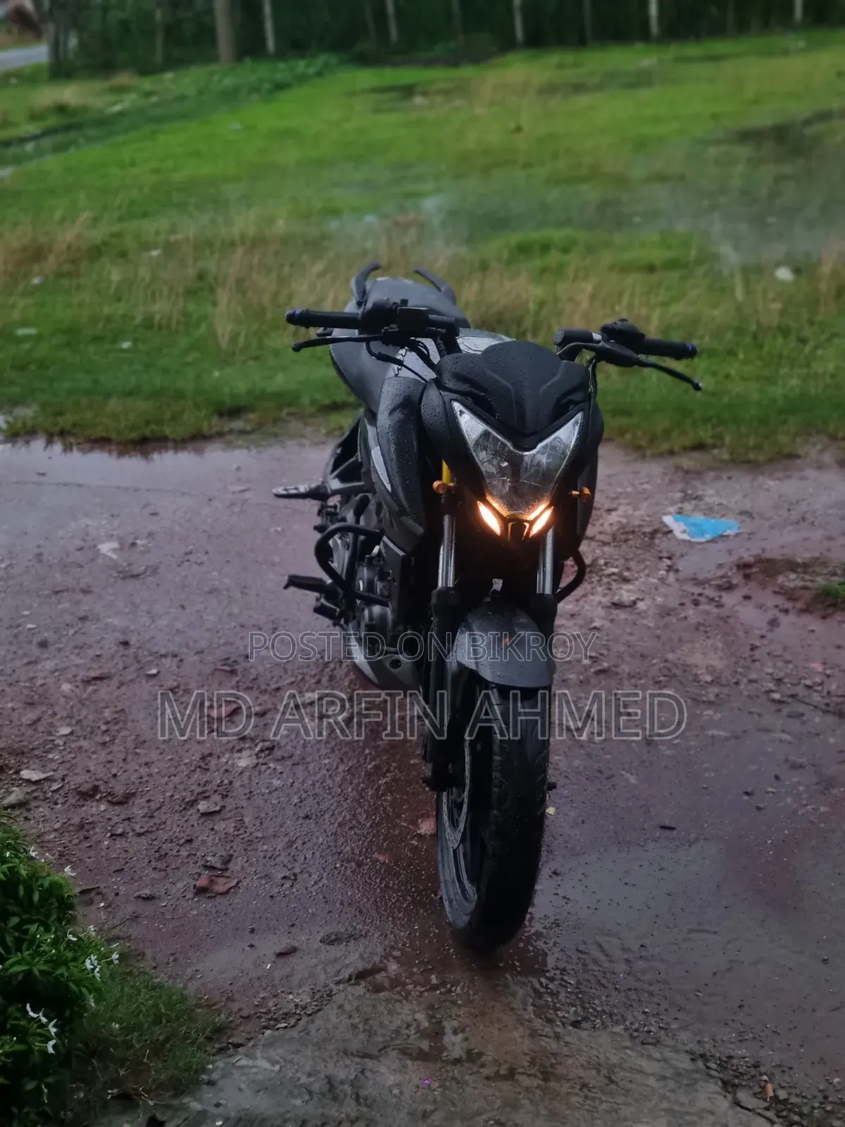 Bajaj Pulsar NS 160 2018 Gray