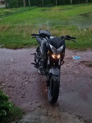 Bajaj Pulsar NS 160 2018 Gray