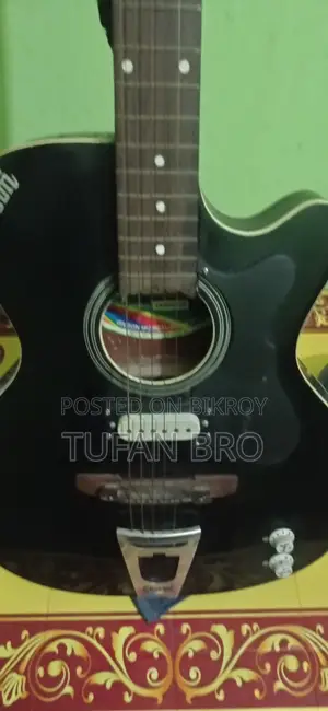 Electric Type Semi Acoustic Guitar