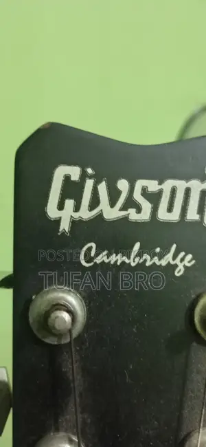 Electric Type Semi Acoustic Guitar