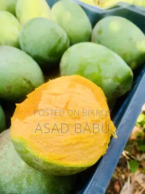 সাতক্ষীরা জেলার আম।