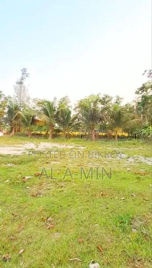 2.4 Acres of Land for Sale Near Noakhali Science and Technology University