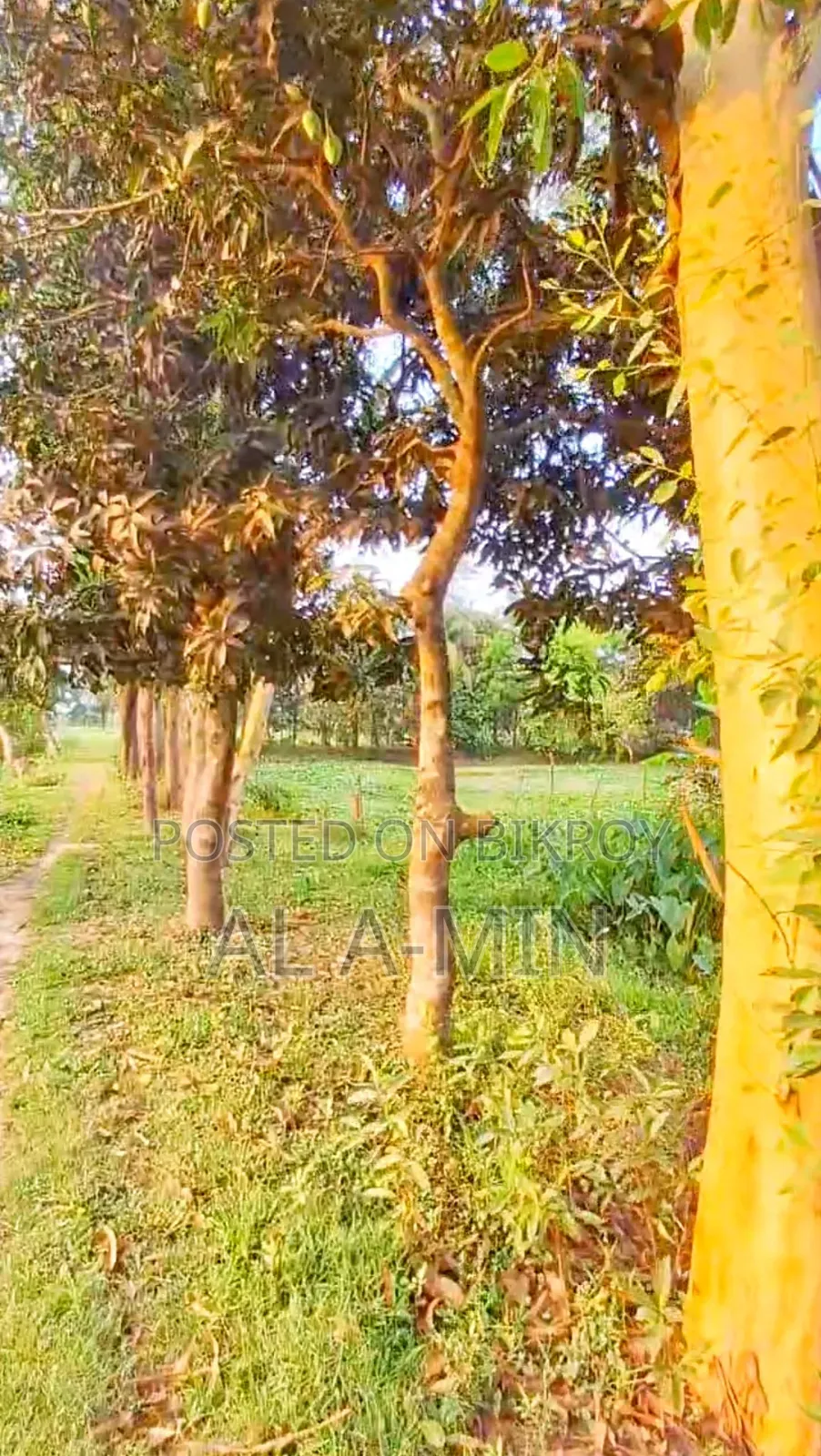 নোয়াখালী প্রযুক্তি বিশ্ববিদ্যালয়ের পাশে ২.৪ একর জমি বিক্রয় করা হবে।