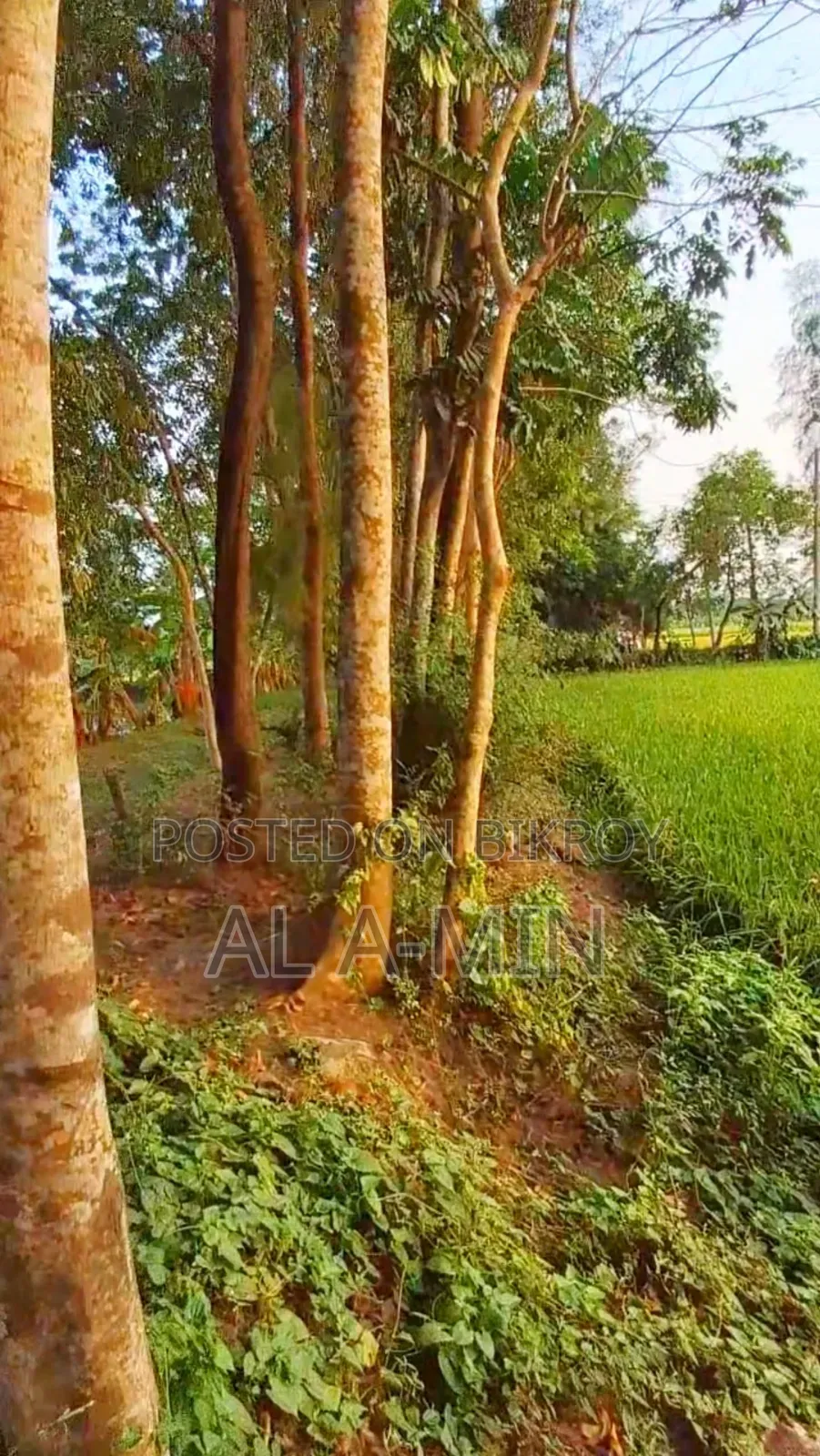 নোয়াখালী প্রযুক্তি বিশ্ববিদ্যালয়ের পাশে ২.৪ একর জমি বিক্রয় করা হবে।