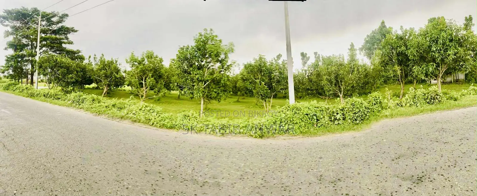 Land for Sale 2.5 Bigha