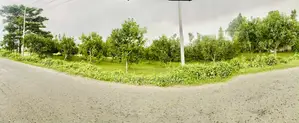 Land for Sale 2.5 Bigha