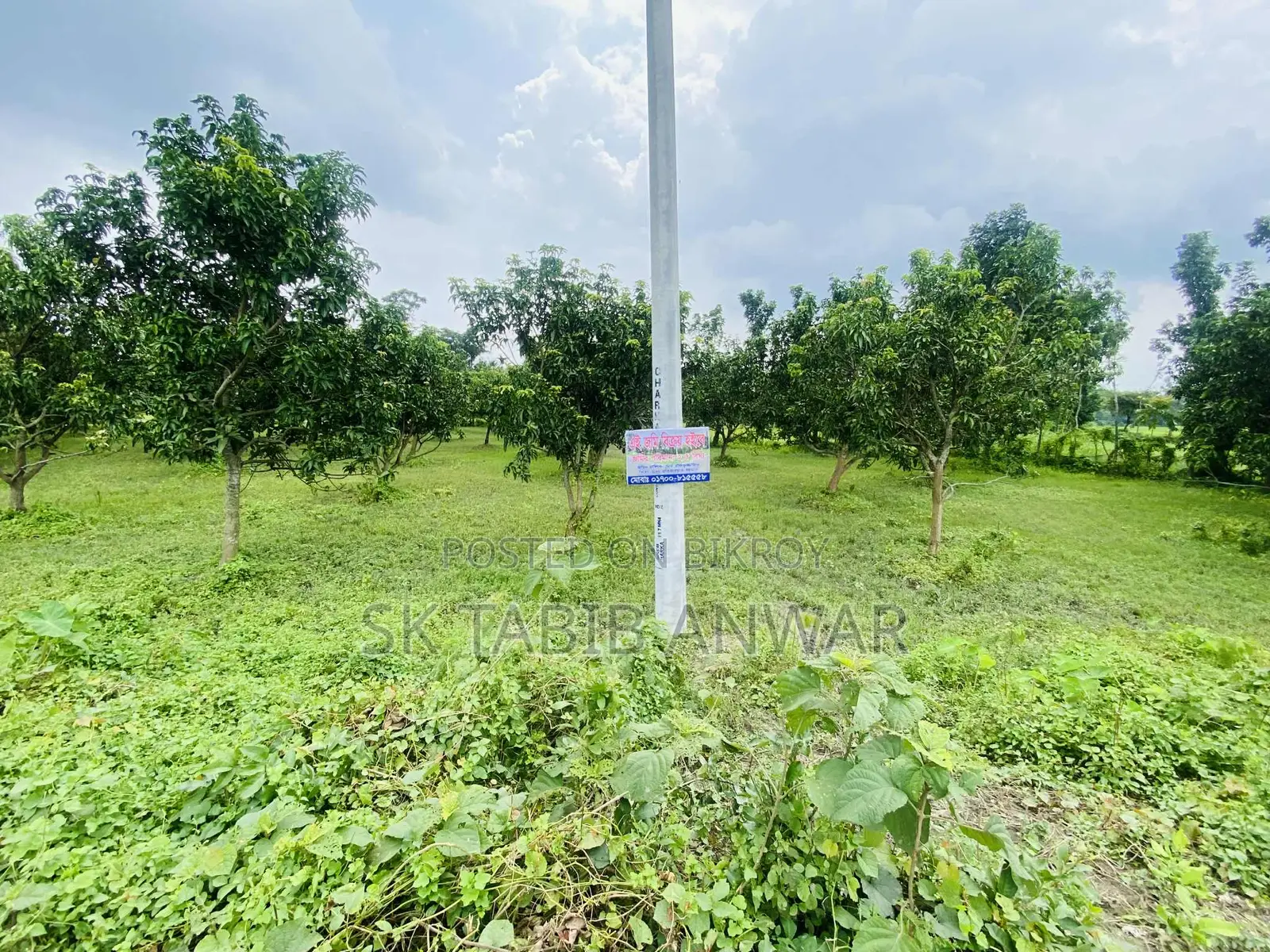 Land for Sale 2.5 Bigha