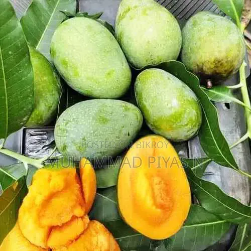 গোপাল ভোগ আম পাইকারি এবং খরচা বিক্রি করা হয়