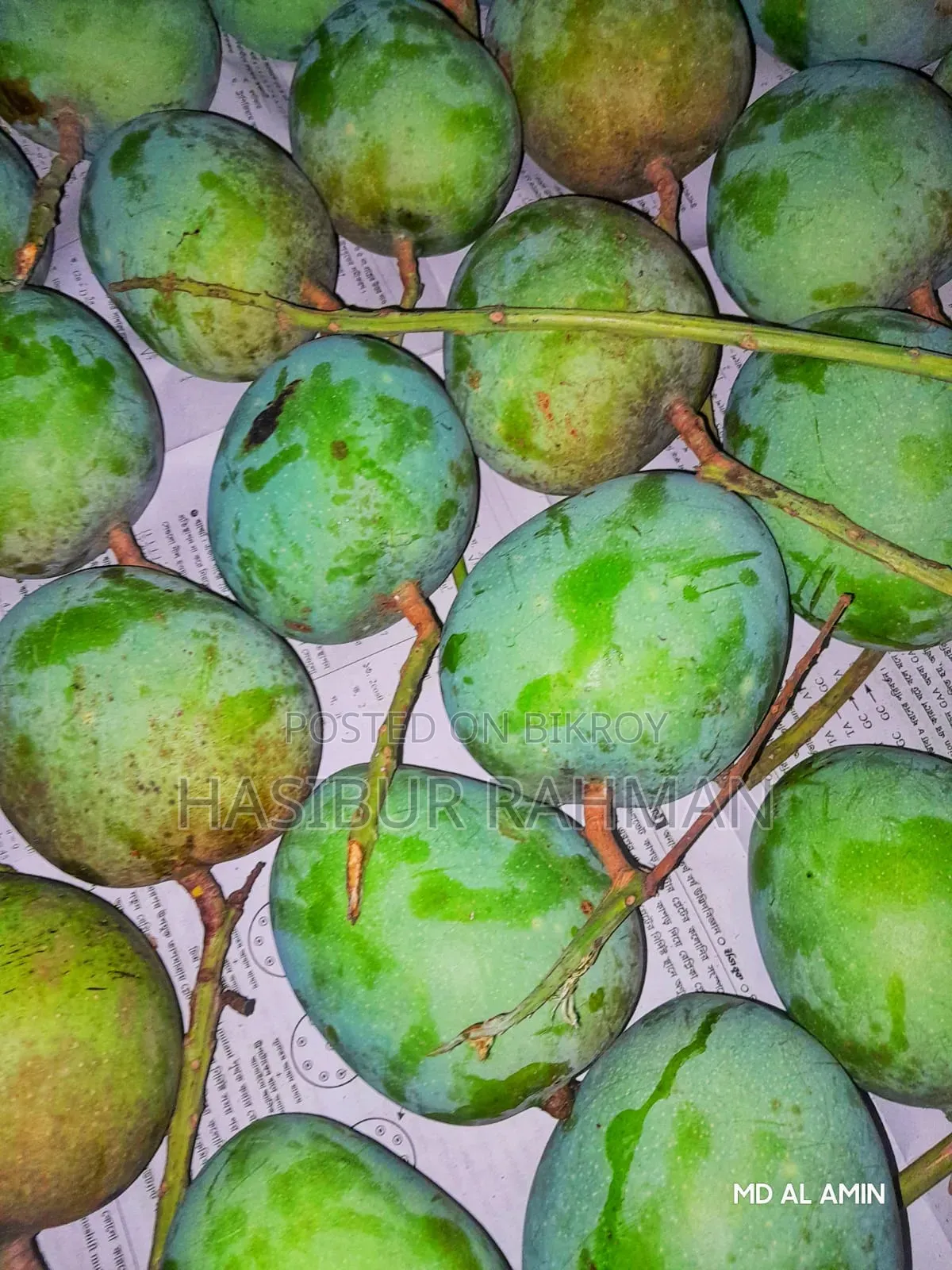 Mango