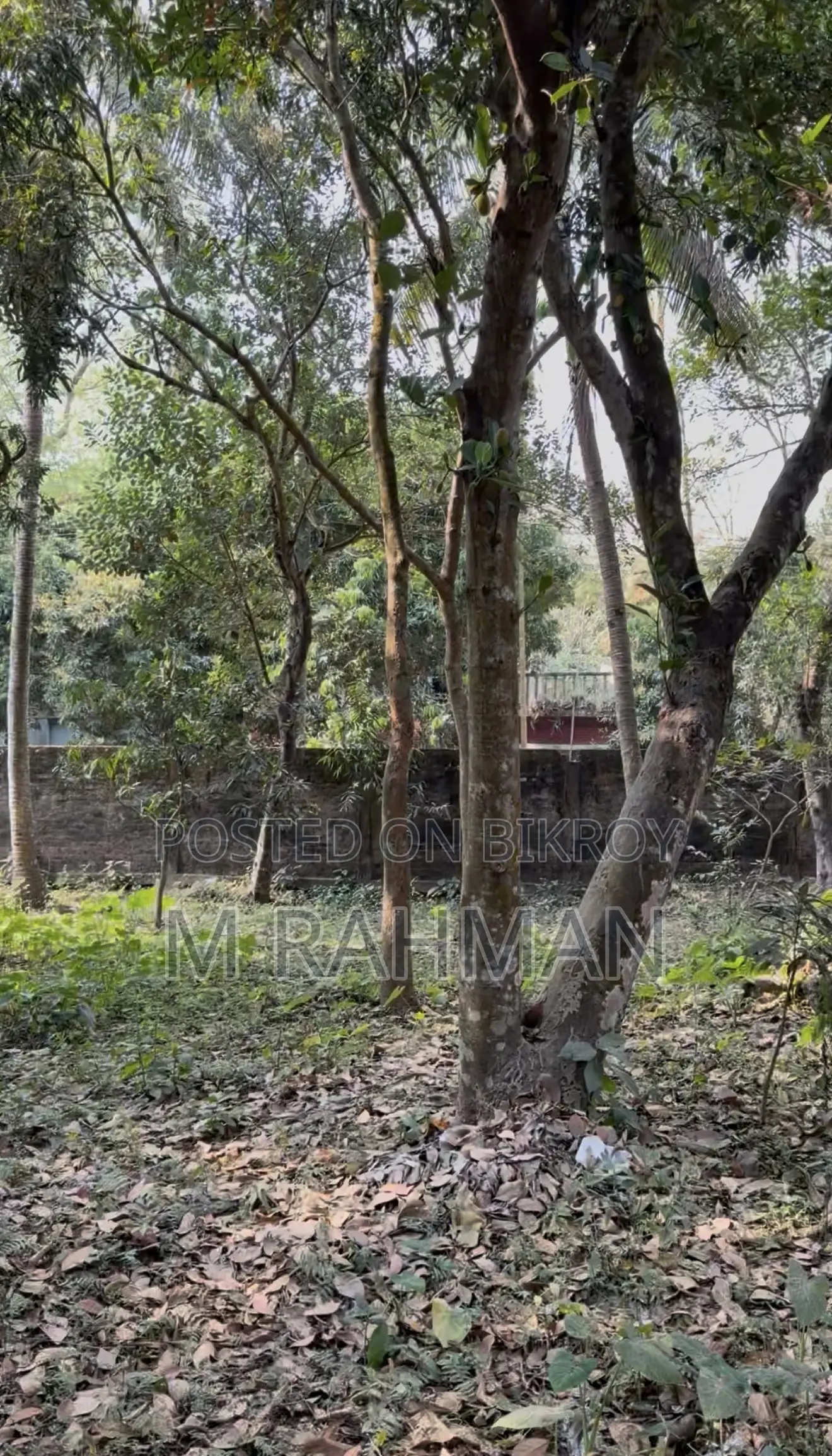 দুই পাশে প্রশস্ত রাস্তা সহ প্রিমিয়াম সবুজ জমি