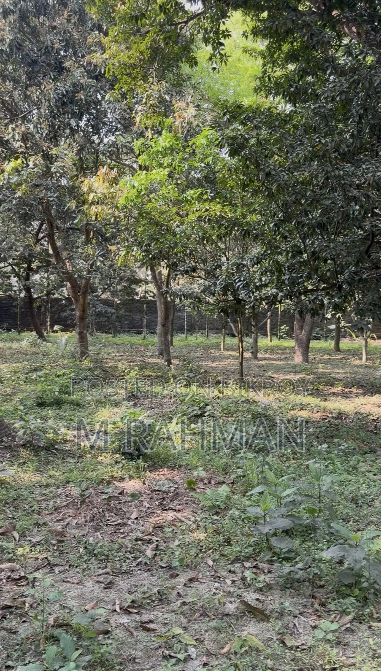 দুই পাশে প্রশস্ত রাস্তা সহ প্রিমিয়াম সবুজ জমি