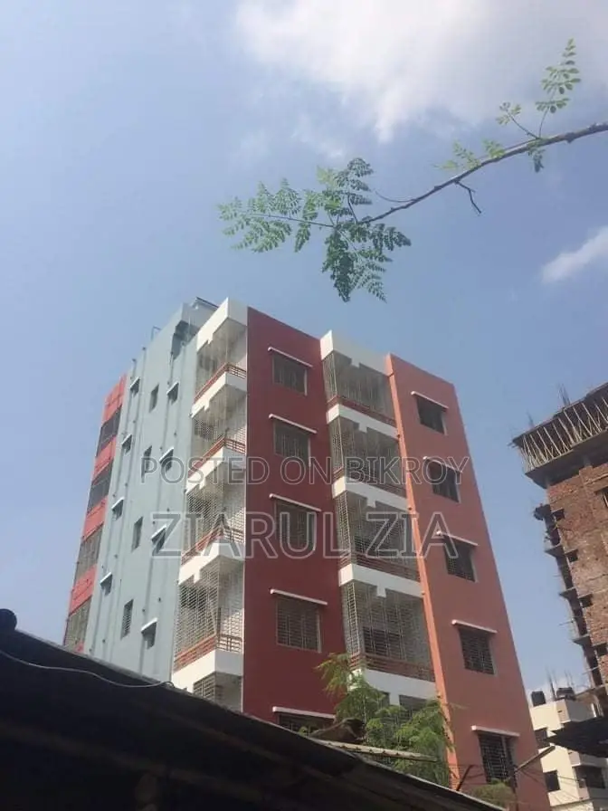 Mini Flat in Mirpur 2 for rent