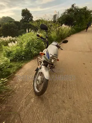 Hero Passion Pro 2006 Silver
