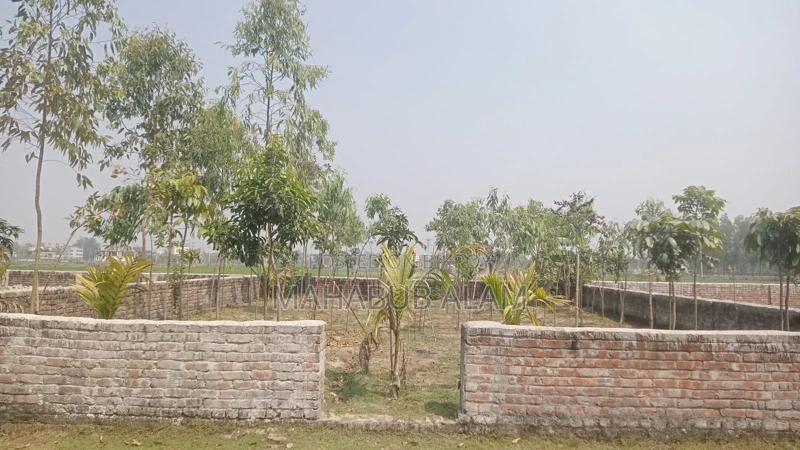 Fixed-35lakhs (5.75) Rangpur (Infront of Dorsona Eye Hospital)