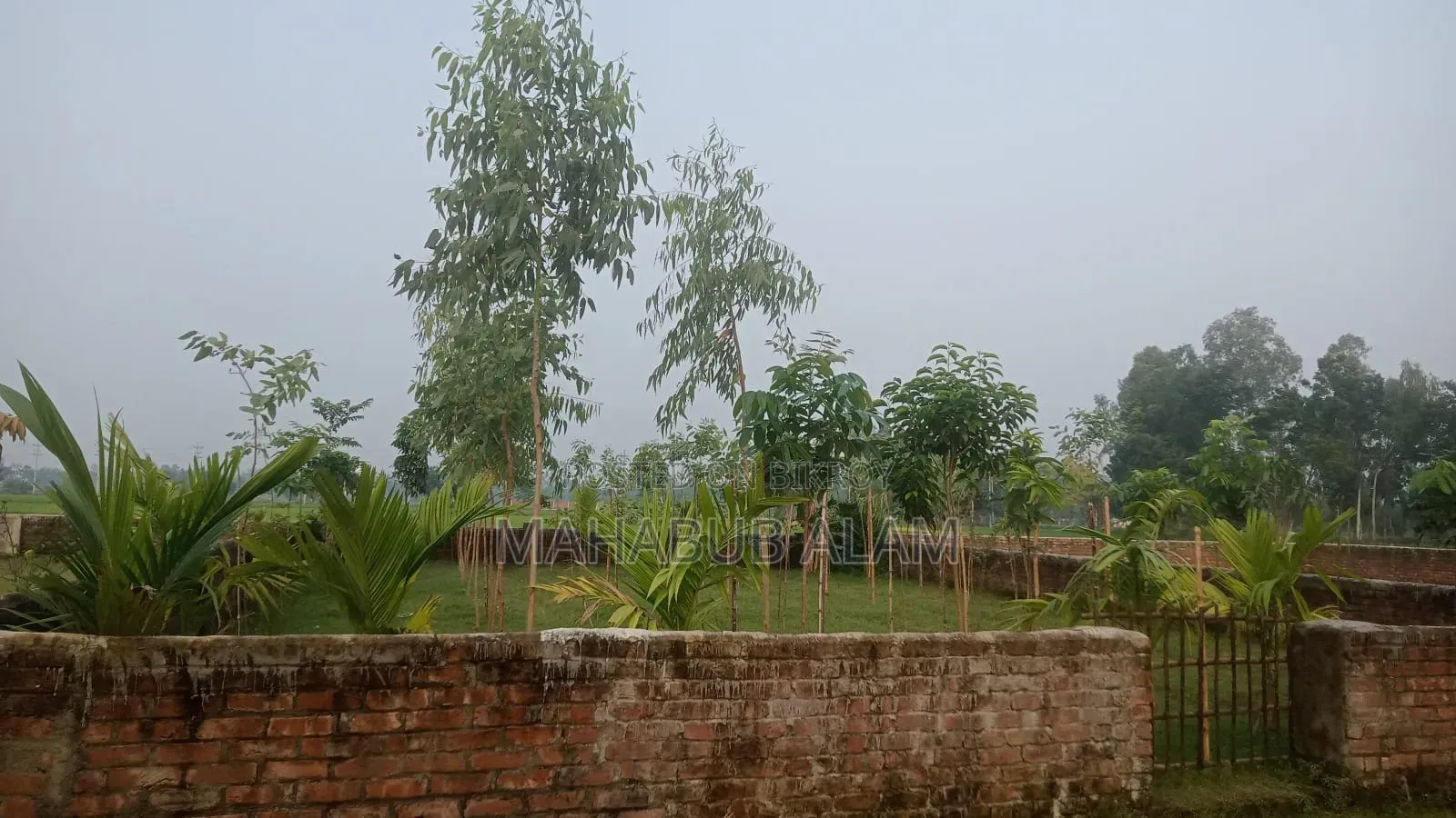 Fixed-35lakhs (5.75) Rangpur (Infront of Dorsona Eye Hospital)