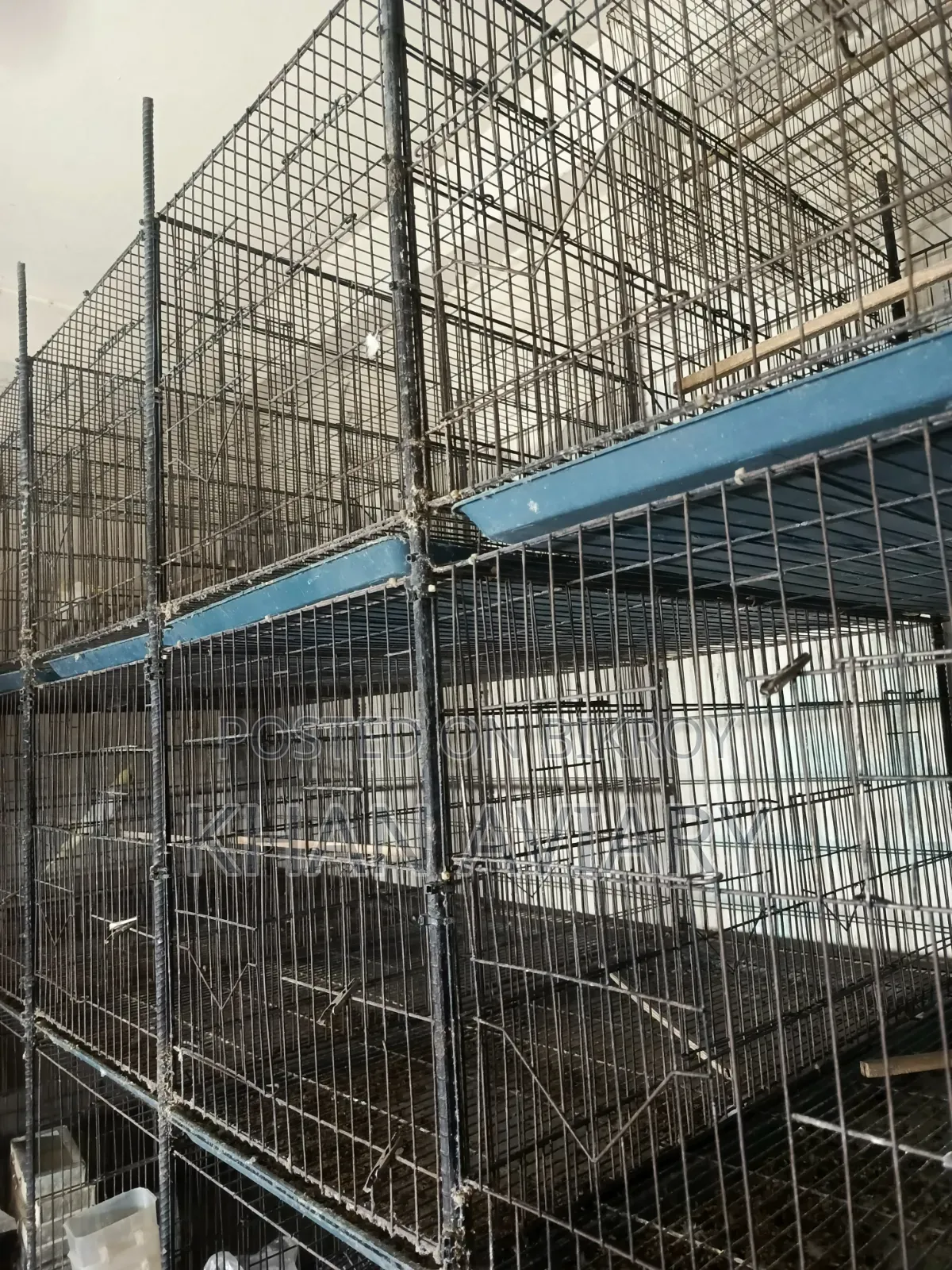 খাঁচা ও ককাটেল পাখির ব্রিডিং বক্স