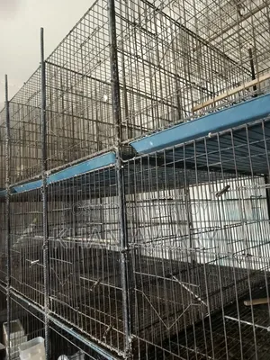 খাঁচা ও ককাটেল পাখির ব্রিডিং বক্স