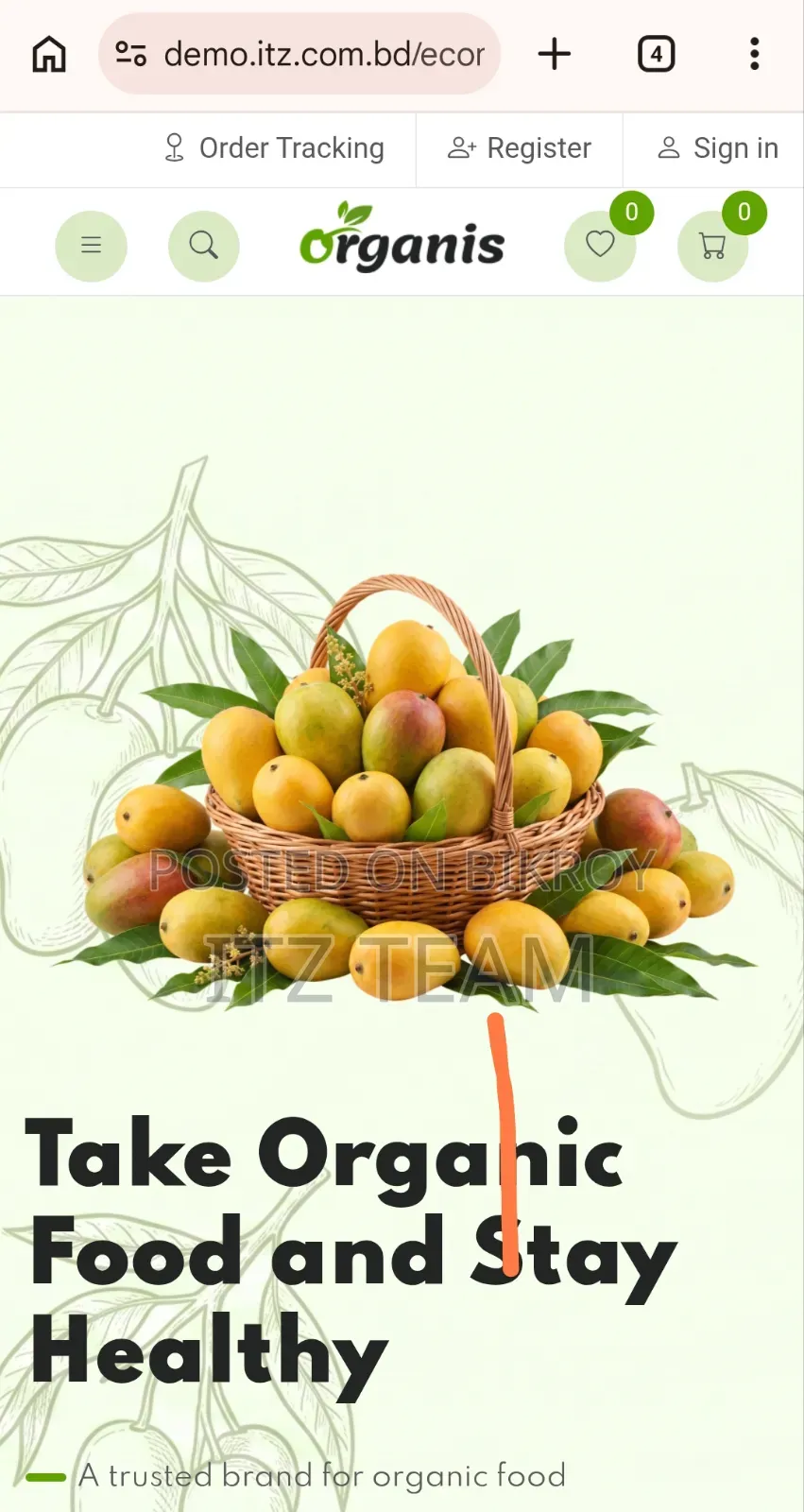 Want to increase online mango sales? Get an e-commerce website today!