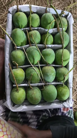 সরাসরি সাতক্ষীরার বাগান থেকে কেমিক্যালমুক্ত গোবিন্দভোগ আম নিন