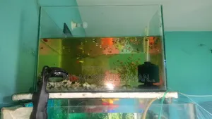 Aquarium for Sale