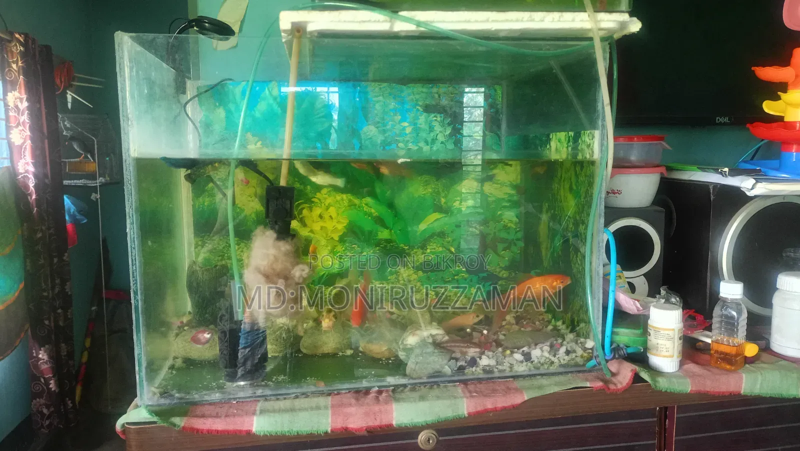Aquarium for Sale