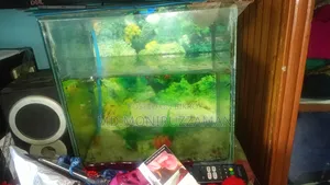 Aquarium for Sale