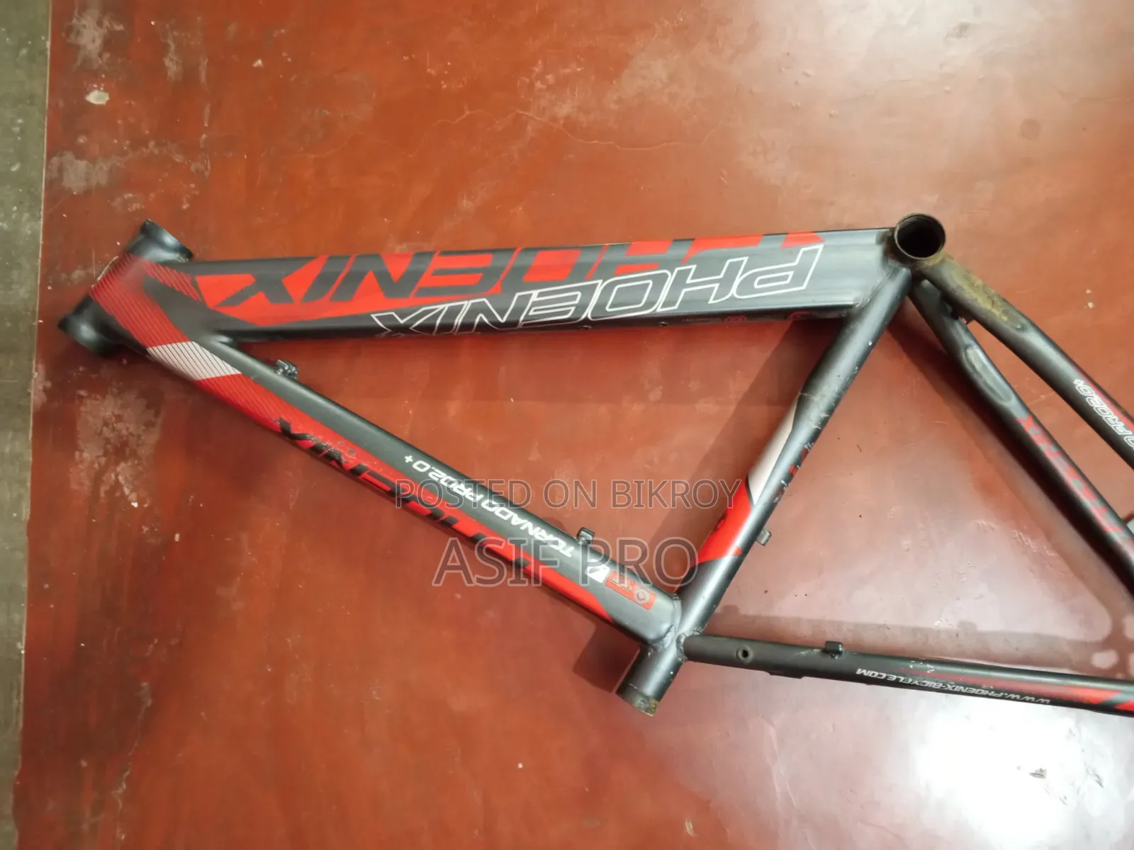 Cycle Frame
