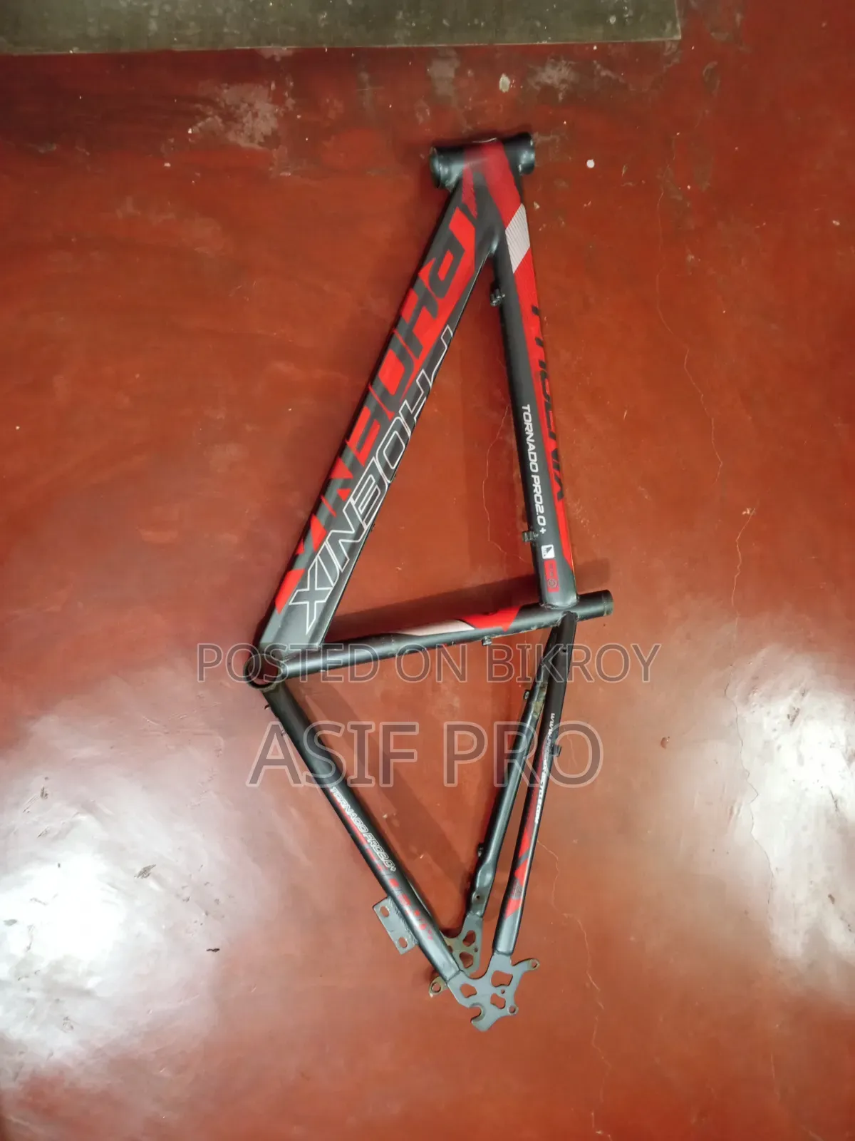 Cycle Frame