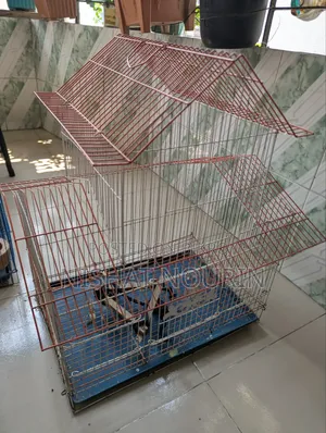 পাখির খাঁচা