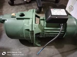 Bg Flow Water Pump