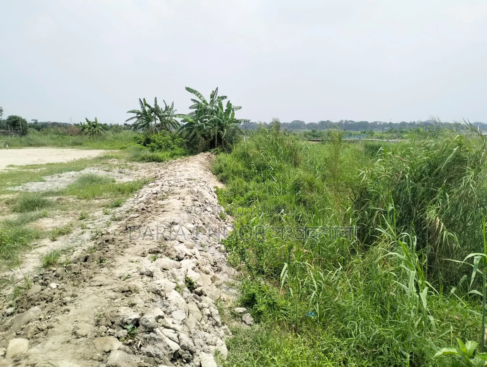 May 10: 300 Bigha Land for Sale Adjacent to Dhaka-Chittagong Highway