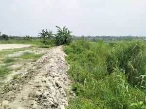 May 10: 300 Bigha Land for Sale Adjacent to Dhaka-Chittagong Highway