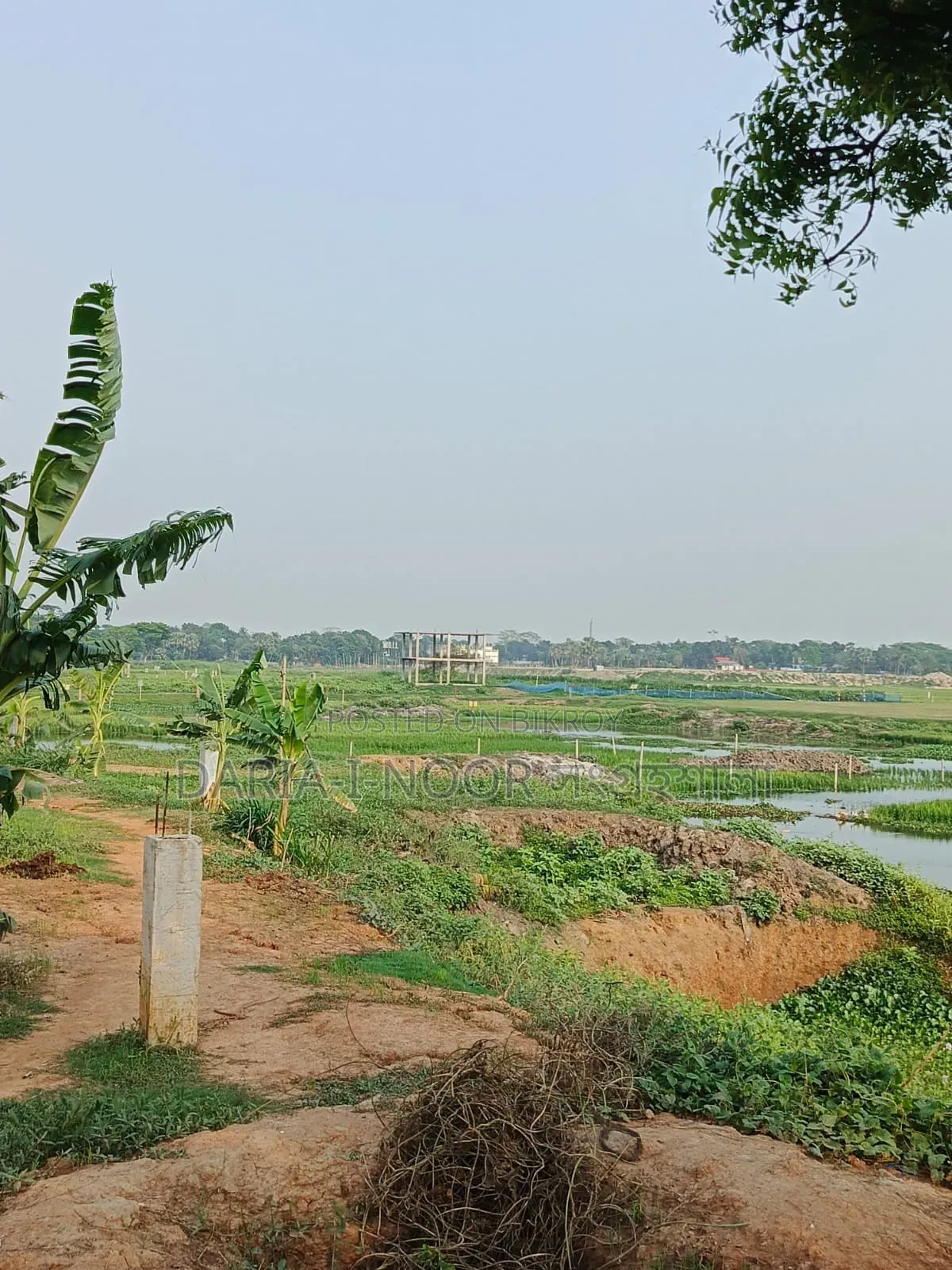 May 10: 300 Bigha Land for Sale Adjacent to Dhaka-Chittagong Highway