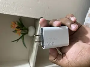 Google 30 Watt Charger